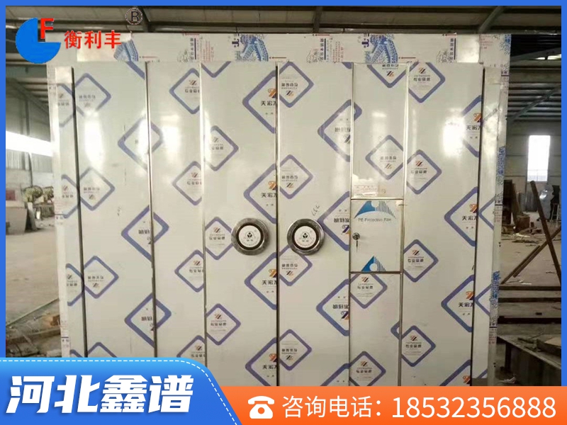 雙開不銹鋼金庫門